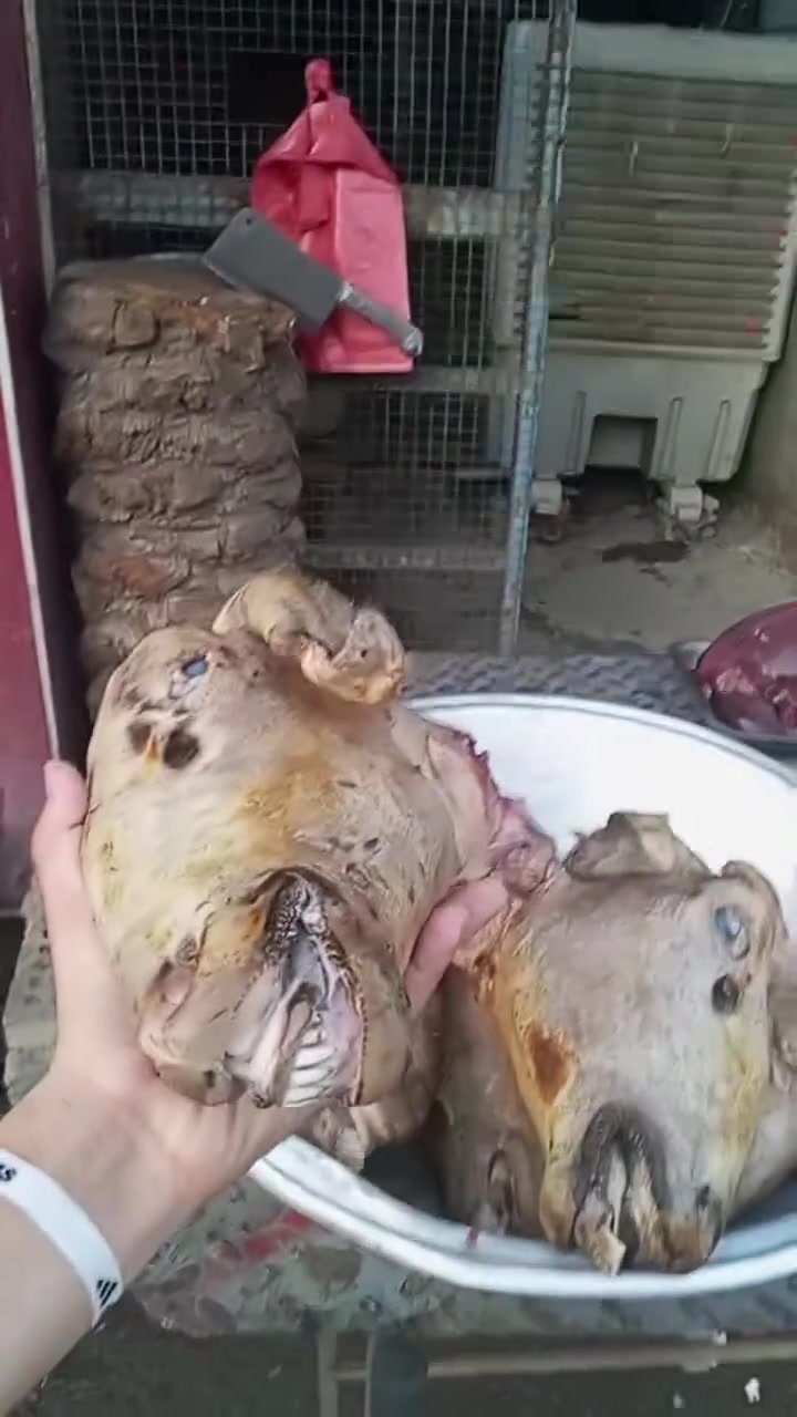 بسم الله رحمان رحيم باجه وفراسم ابو علي لبيع باجه و فراسم -تضيف باجه و فراسم العنوان الكفاءات العبيدي شارع 20 مقابيل أسواق جكليته ومستعدون لتجهيز كافة المطاعم و المناسبات وسهلا بكم زبائننا الكرام للحجز واتساب ***********
