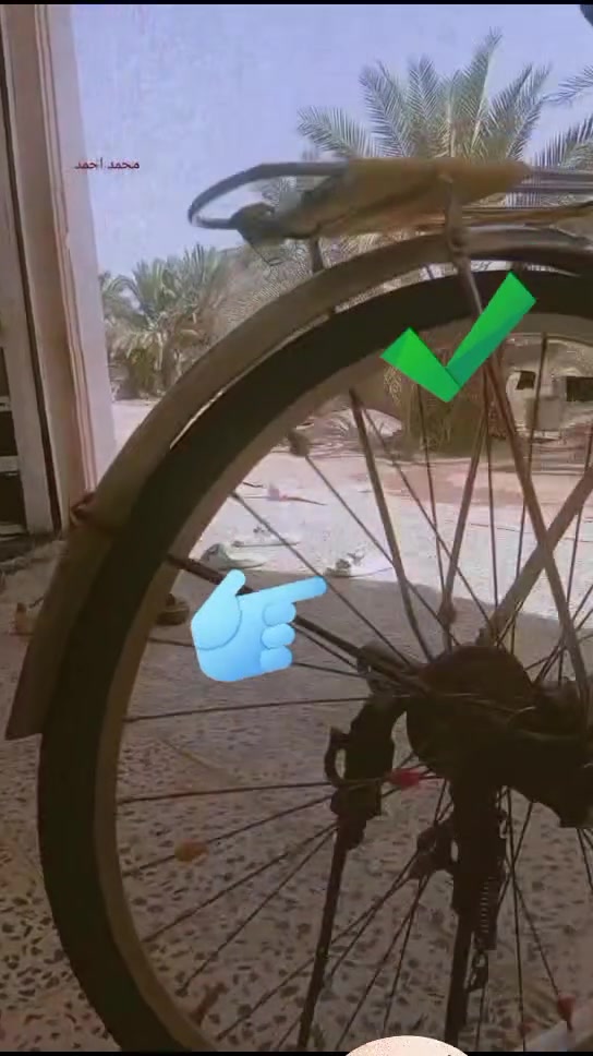 باسك • للبيع • سعر خاص