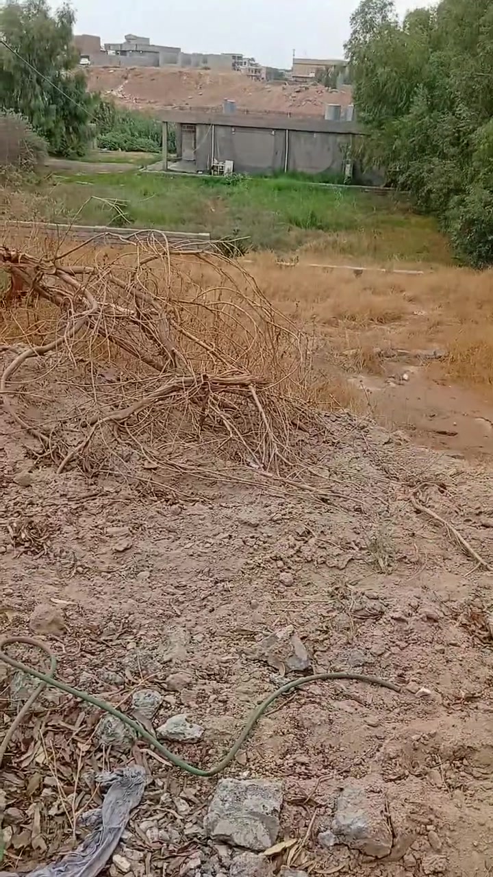 بيت ومحلات • مساحة ١٠٠٥٠ • بيع مستعجل