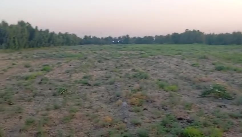 السلام عليكم ورحمه الله وبركاته كاع ٤ دوالم زراعيه سند 25 المحموديه سريع الدولي الجسر الرابع سعر الدولم 50 مي كهرباء مدارس كله متوفر للاستفسار ‎*********** واتساب متواجد ***********
