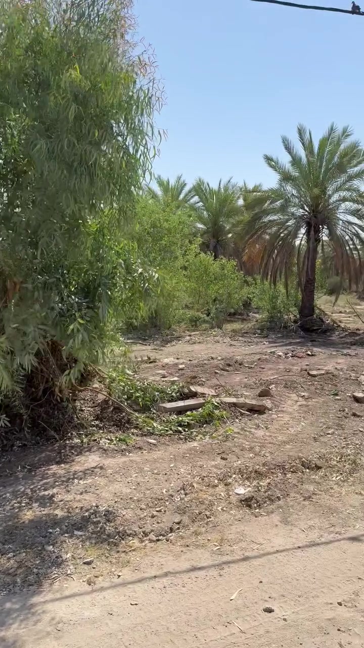 السلام عليكم دوانم للبيع طابو 25 زراعي بستان
تباع دونم دونمين او ثلاثه حسب الطلب 
الاستفسار *********** ما تنطي فلوس إذا مو فتح بيان
