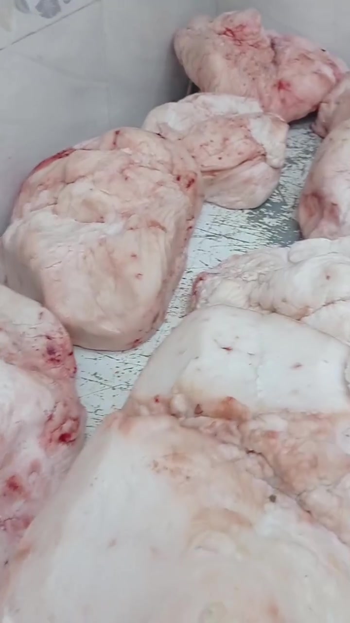 طرف طلي • درجة اولى • موصل حي الوحدة