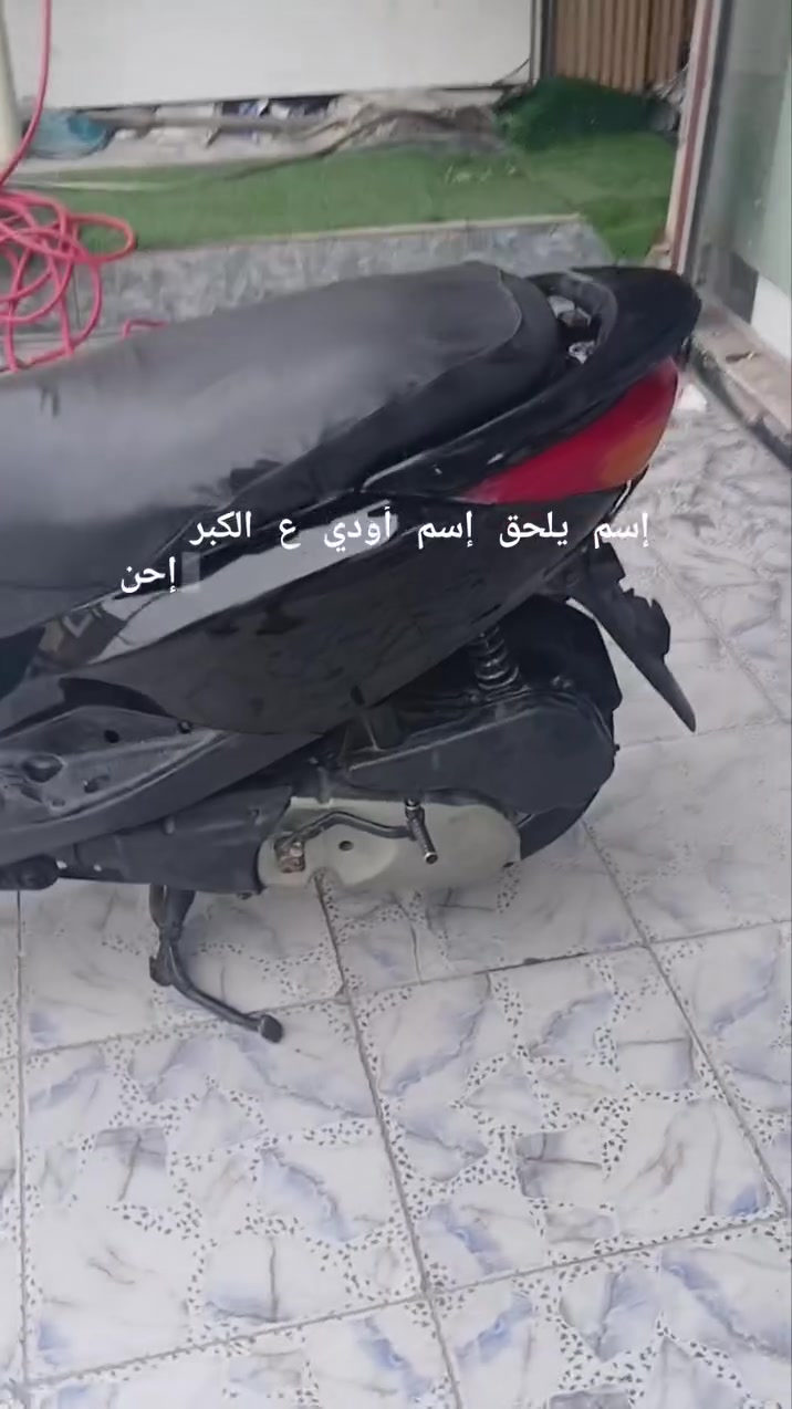 بغبغاء • مجفته • جاهزه