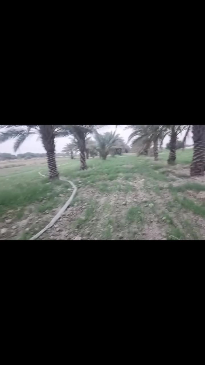 أرض زراعية • ١٠ دونم • مفرك الكفل