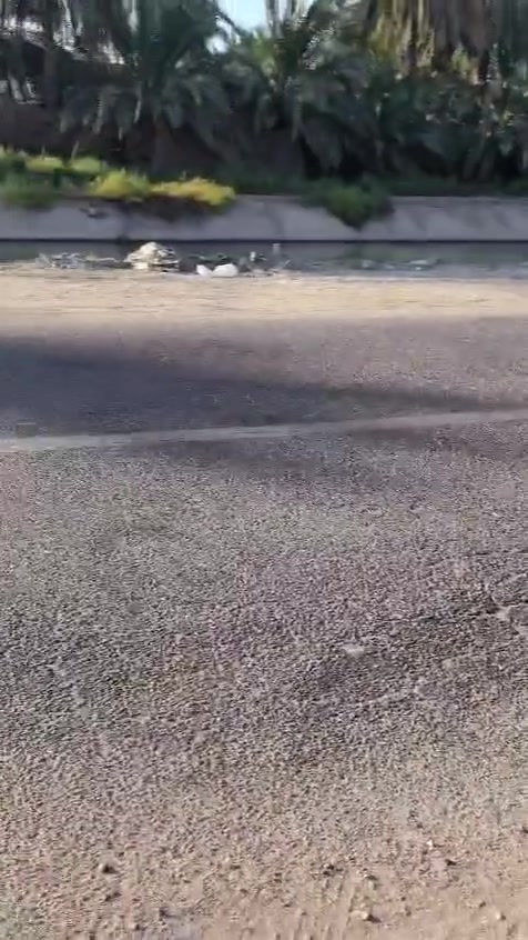 سلام عليكم
دونم البيع ڪربلاء 📍📍
التفاصيل داخل الفيدو 
الاستفسار ***********
