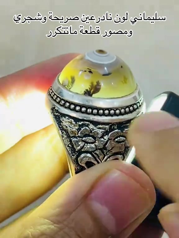 سليماني • عين صريحة • شجري