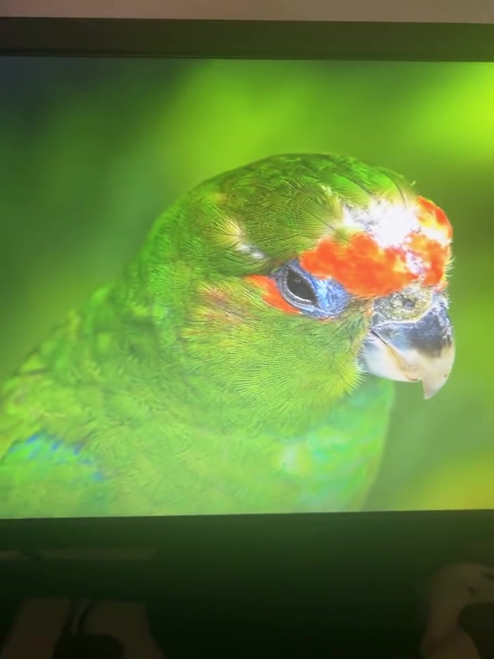 شاشه asus للبيع
60 hz Full HD 

المنافذ HDMI   و.    VGA 

1920*1080

السعر ٥٠ الف بيهه مجال للشراي تجي تفحص وتاخذ لا يتوفر توصيل 

تفاصيل اكثر خاص 

او رقمي  ***********
