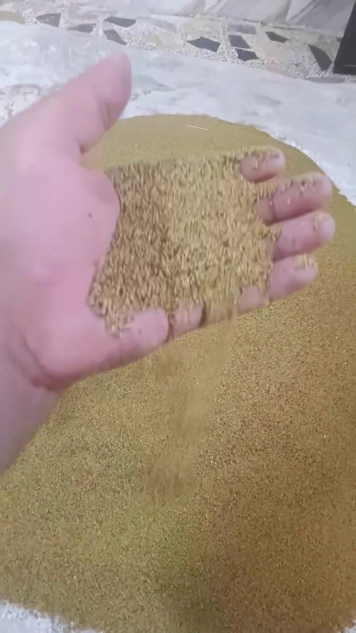 بزر جت • عراقيه • المدائن سلمان باك