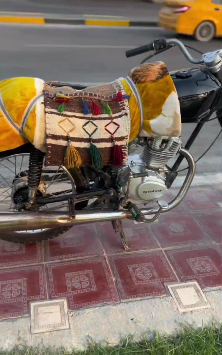 سلام عليكم 

دراجه للبيع كفاله عامه مابيه اي نقص احلا من التصوير
اي ستفسار اتصل ودلل ***********
