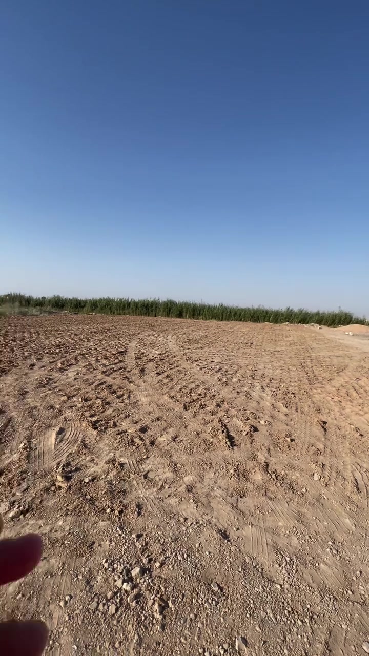 قطعه ارض ١٠٠٠ م الف متر مفوضه للطابو مرقمه بلديه مدفونه ومحدوله  تبنيه وتروح اتمشي معامله طابو صرف وتعهد بيها من كافه العشاير 
العنوان الرمادي الشراع مقابل جامع عبود لعياده
السعر ٢٥ مليون وقابل للتفاوض 
مكتب كريم العبيدي 
***********
