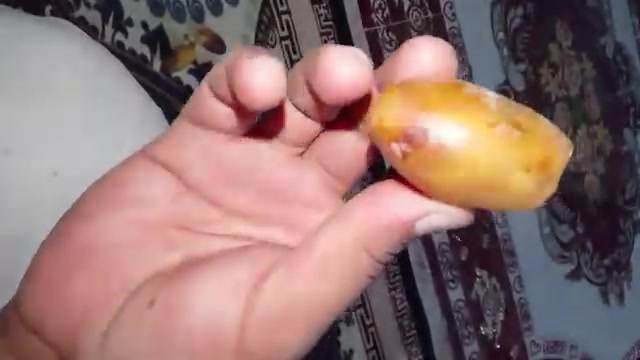 متوفره فسيلة وحده من هاي النوعية نخله راقية حجمها جبير ومطلعه سعرها 75 الف للتواصل ***********
