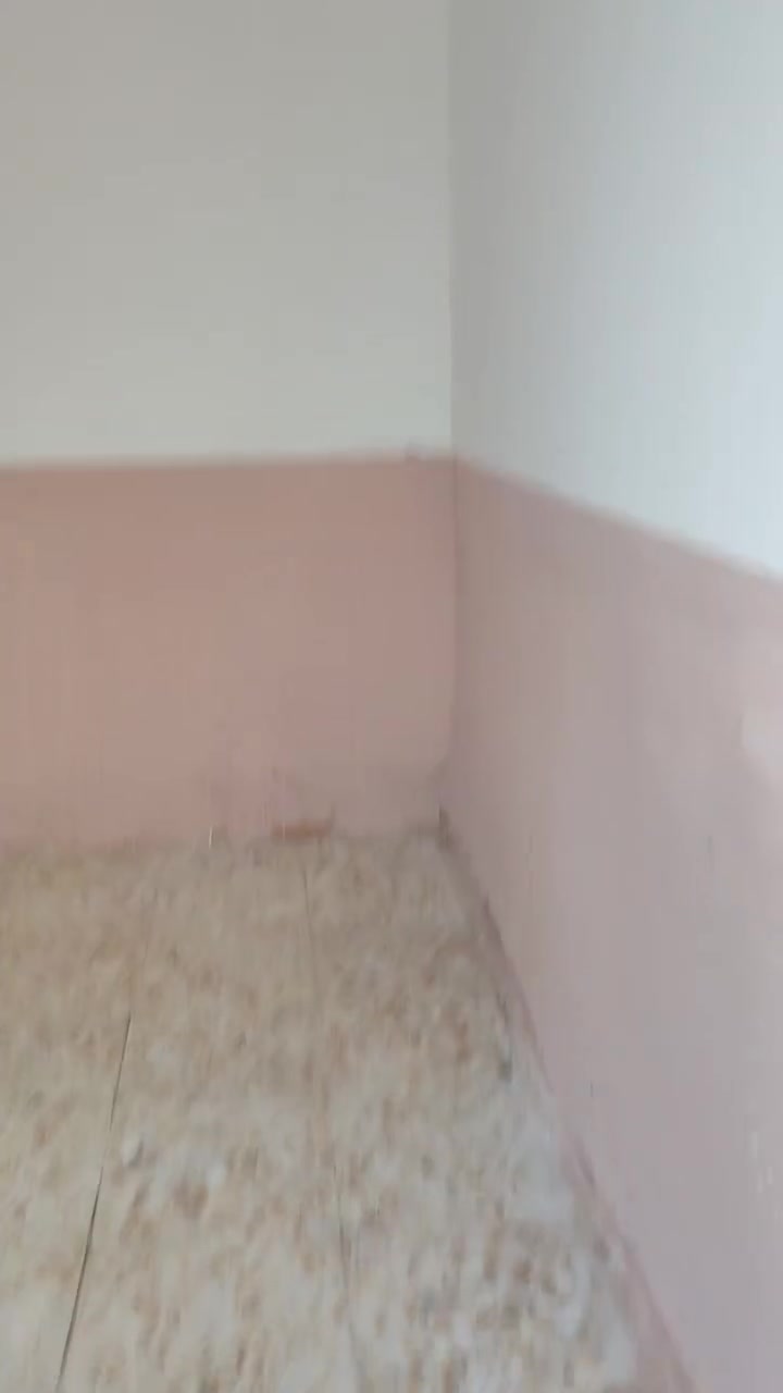 نجف الاشرف • حي الرحمه • ٧٠م