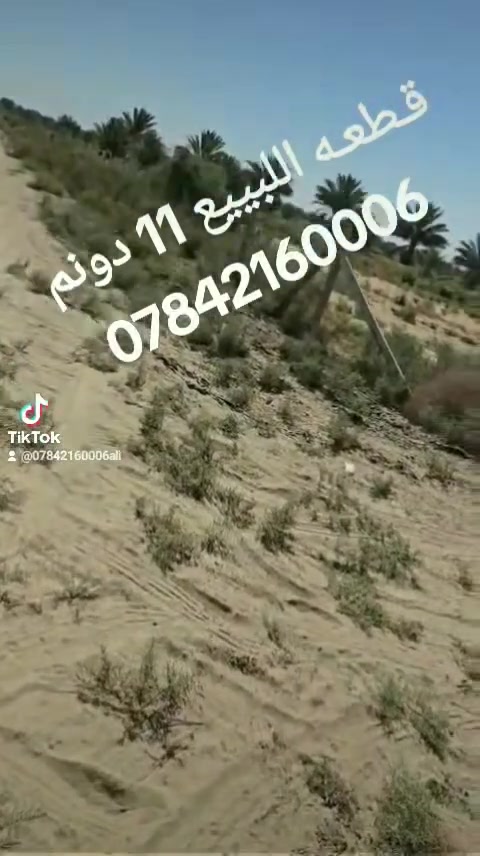 🏡 #قـــــطــعــة_للــبــيــع

📍 العنوان:الحلة – قريب بين العلوية الشريفة وبني اساله

📐 المساحة:11 دونم

📏 النزال:450 م

🛣️ الواجهة:77 متر

📄 الطابو:زراعي – سند 25

📄 الطابو:زراعي – سند 25🔹 إصلاح تقسيم أو زراعية، جاهزة للزراعة

📞 للاستفسار:#مكتب_علي_التميمي_للعقارات

📱 التواصل عبر الواتساب أو الاتصال:***********

🔹 نستقبل جميع العروض العقارية:#بيع #إيجار #دار #هيكل #قطعة #بستان #مزرعة #مصرف #دار_أقساط #مطلوب

📩 أرسل تفاصيل عقارك وصوره، وسنقوم بنشره بأفضل شكل.
