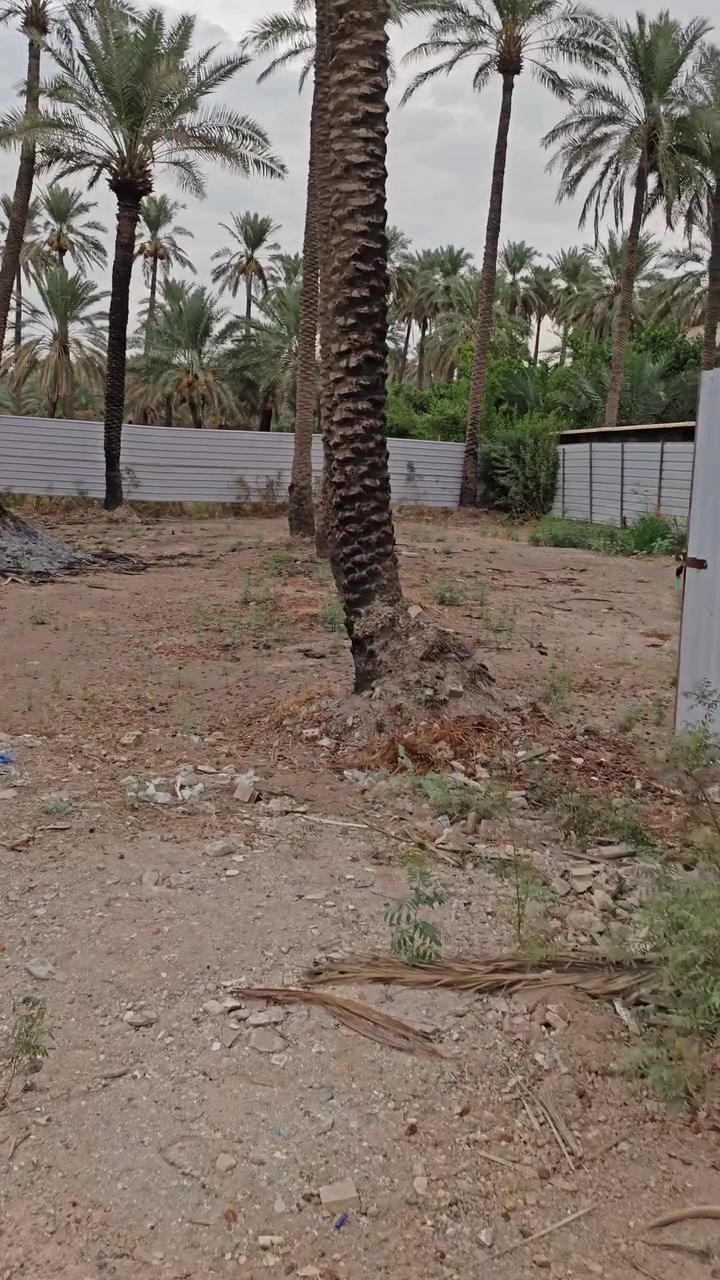 السلام عليكم👋
توفرت قطعة أرض للبيع بسعر مناسب جداً ↙️
مساحة الأرض 550م  واجهة 20.5م ونزالها تقريباً 27.5م✅
عنوان الأرض نزال حسينية الصادق الأمين📍
علماً بأن الأرض ملك خالية من الأوقاف☑️
للاستفسار زيارة مكتب ألتقى للعقار🏡
***********📞
