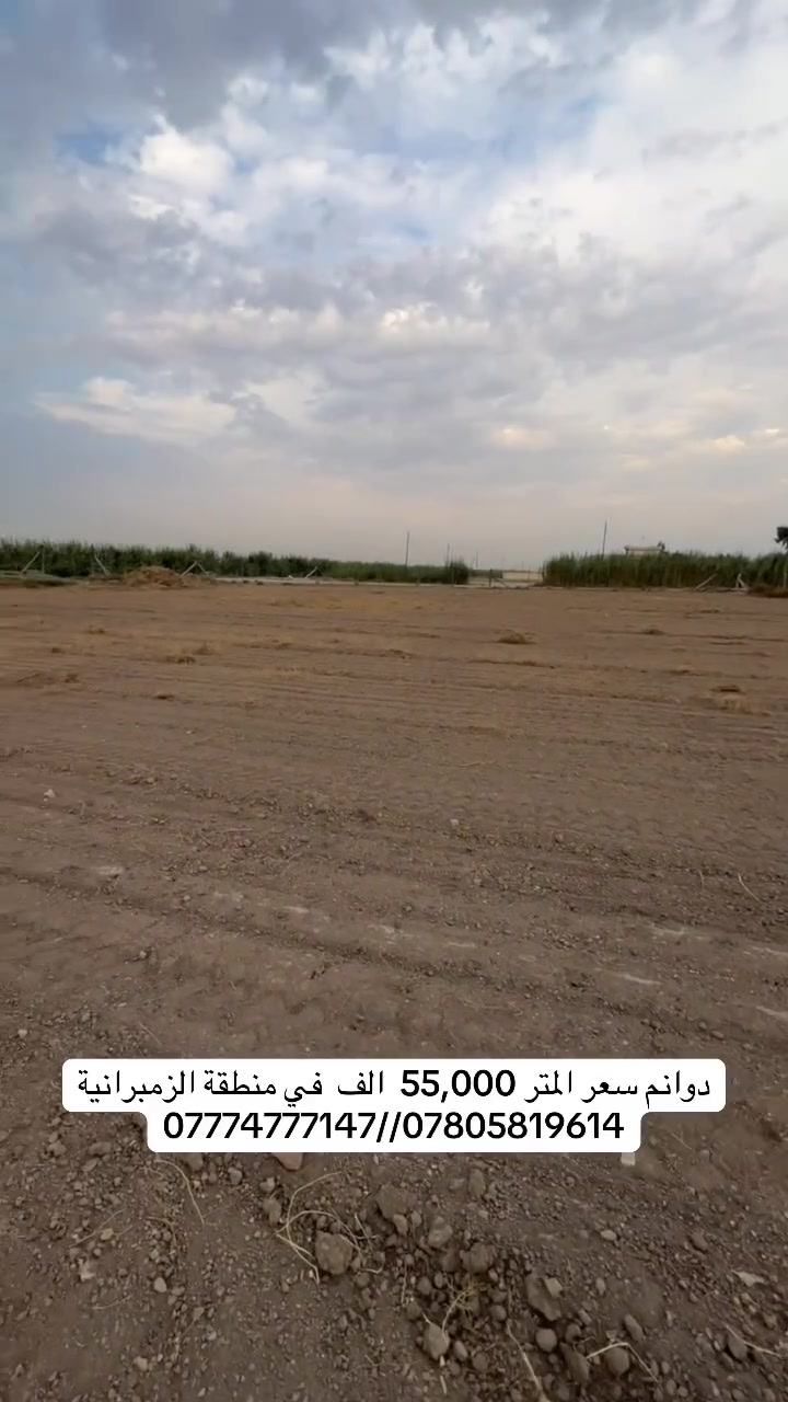 الزمبرانية • دونم كامل • مخدومة