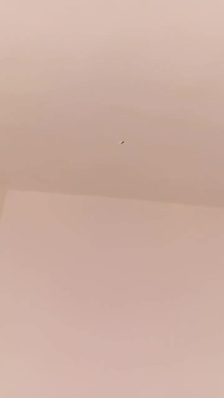 سلام عليكم شغل بورك جص فني سقوف حيطان لبخ نثر متفرق حالين ***********‬‏
