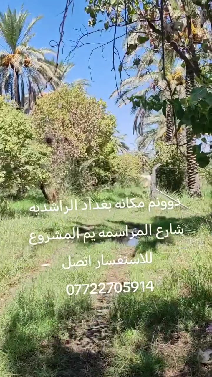 للاستفسار اتصل ***********
