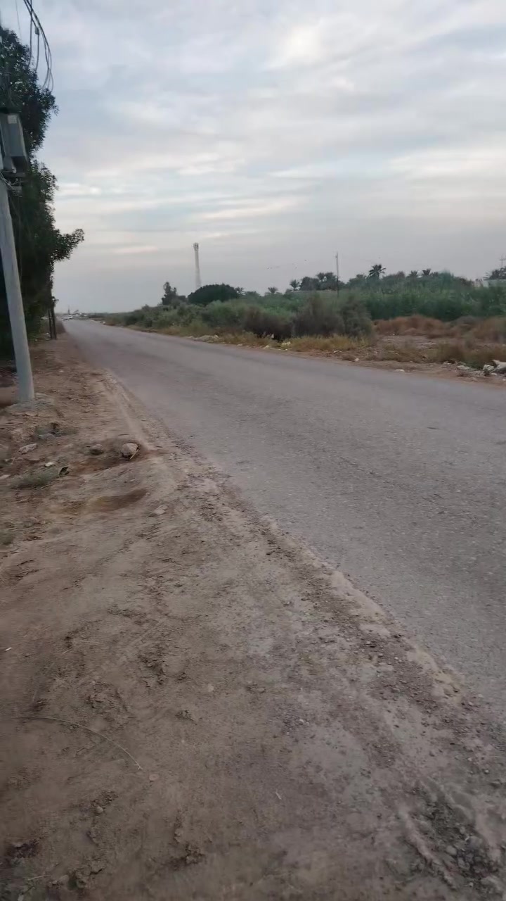 نصف دونم • ١٢٥٠م