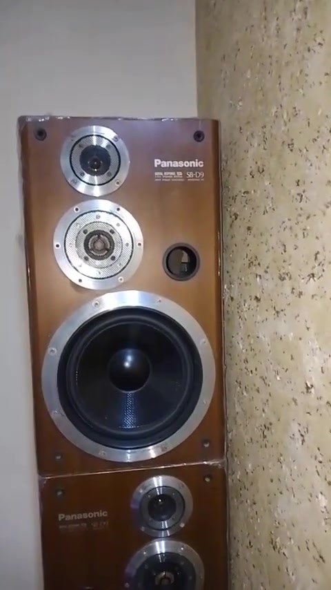 سماعات بنسونگ • SB D9 • ١٠ انج ١٥٠ واط