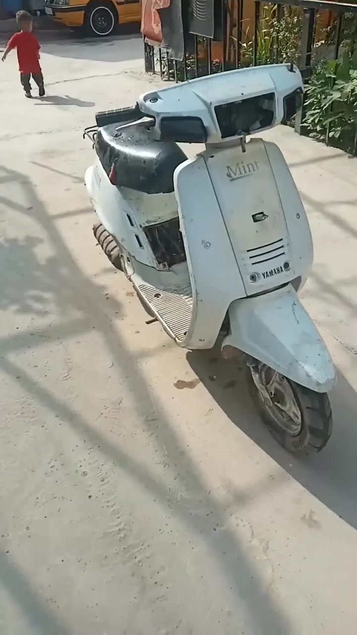 مينت • شغاله • كربلاء