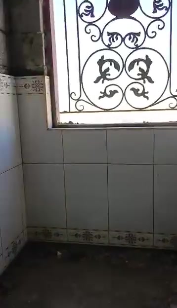 شغل سيراميك داخل قضاء حديثه 
***********
