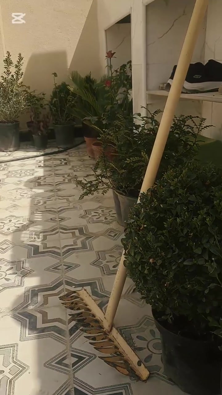 نشتغل حدايق من الصفر وشغل مرتب
حدقجي متوفر داخل تكريت لتواصل ***********
