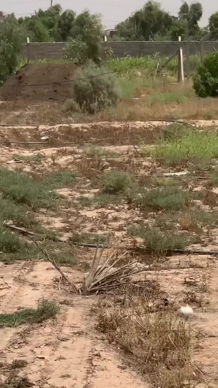 السلام عليكم قطعة ارض للبيع قريبة علة جسر الفرنسي شارع محطت الكهرباء التصال علة هاذة الرقم***********
