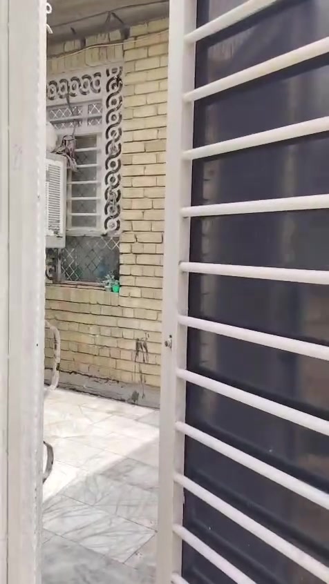 طابو زراعي • ١٠٠م • كوفه السهليه