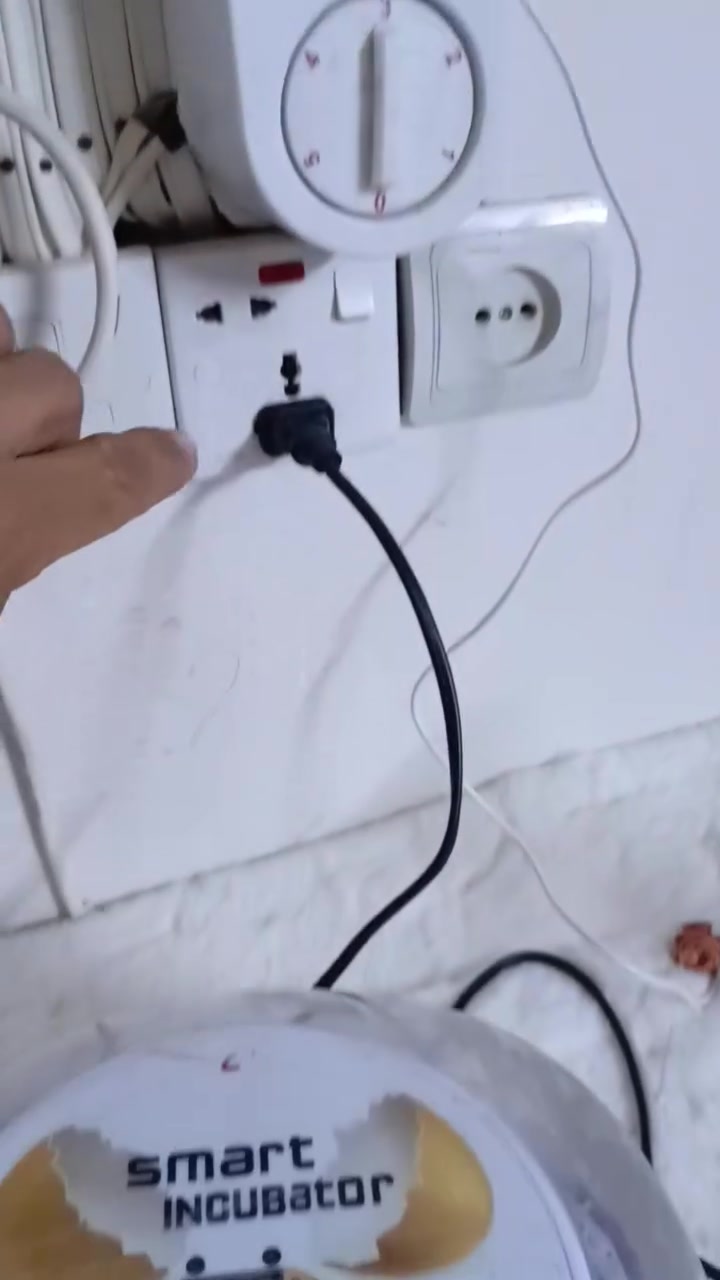 فقاسة • ١٢ بيضة • ٥٦ بيضة