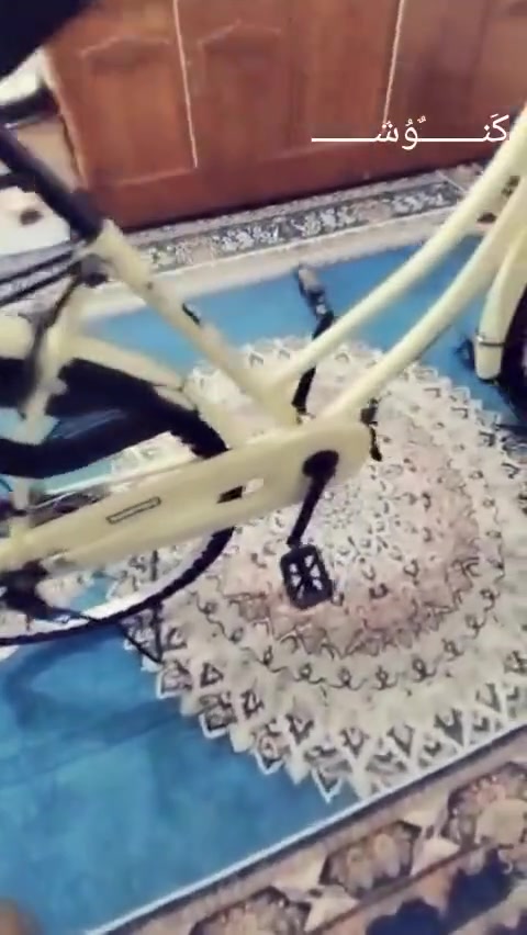 باسكل للبيع حاويه  نضيف الباسكل  من دسك وا دوسات وتواير وا مكينه نضيفه وا زنجيل قوي نضيف الباسكل جدآ موديل 2021 مو تجاري ياباني مختوم من الشركه رقم الشاصي موجود زرف بل دوسه الباسكل كله مختوم ولله باسكل نضيف السعر 140 الي ما يشتري لا يعامل  اتصل علا الرقم ***********
