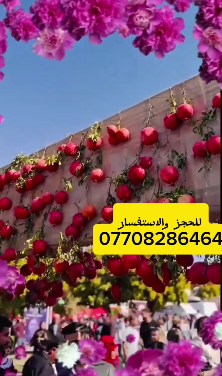سفرة خاصة • مهرجان الرمان • باصات حديثة