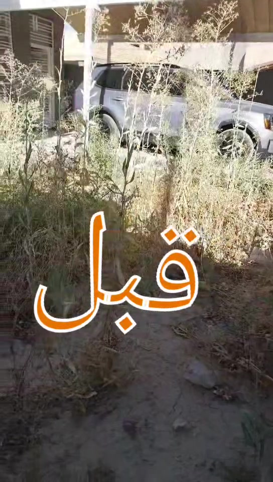 نعمل زراعت ثيل ول اشجار وتنظيف وحراثه وكلشي يخص الحدايق احنه بخدمتكم فقط راسلونه وتساب ***********
