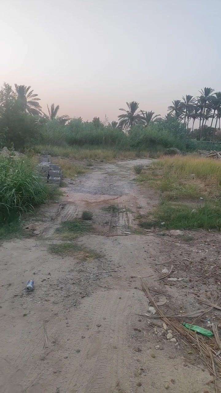 قطعة ارض للبيع مساحتها 200م واجه 10 نزال 20 هورجب بدايت شارع البدخيل سند 35 للاستفسار واتساب رقم ***********
