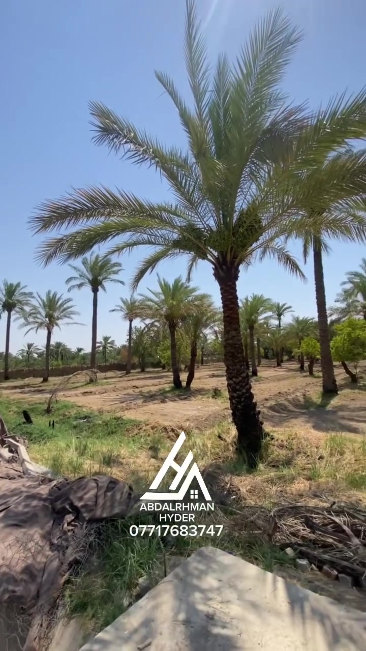 🚨🚨اعلان ..232
📌📌للبيع دونم 🌿ركن على شارعين 
(طابو زراعي سند 25)✅
الواجهة 46م 📏 النزال 54م

💰💰السعر علق بكلمة سعر 

✨كامل الخدمات 
✨موقع جداً مميز 
✨تحويل باسمك 

📍📍العنوان بغداد الراشدية قرب البحيرة منطقة المهندسين 
تفاصيل اكثر :-📞📞***********

.
.
.
.
.
.
 #عقارات #بغداد #الراشدية #العراق #بيع #شراء #عقار #في #موقع #مميز #بستان #مثمر #الفحامة #كميرة #والمناطق #المجاورة #اطراف #بغداد #الاعظمية #الكرادة #الوزيرية #زيونة #المنصور #دوانم #طابو #زراعي #صرف #سكني #مزارع #دوانم #فولو #لايك #اكسبلور #شير #هاشتاك #T #P #m #i #Y #w #Q #Z #B #N #H #k #L #s #f  #fightcoronavirus #fightagainstcoronavirus    #B
