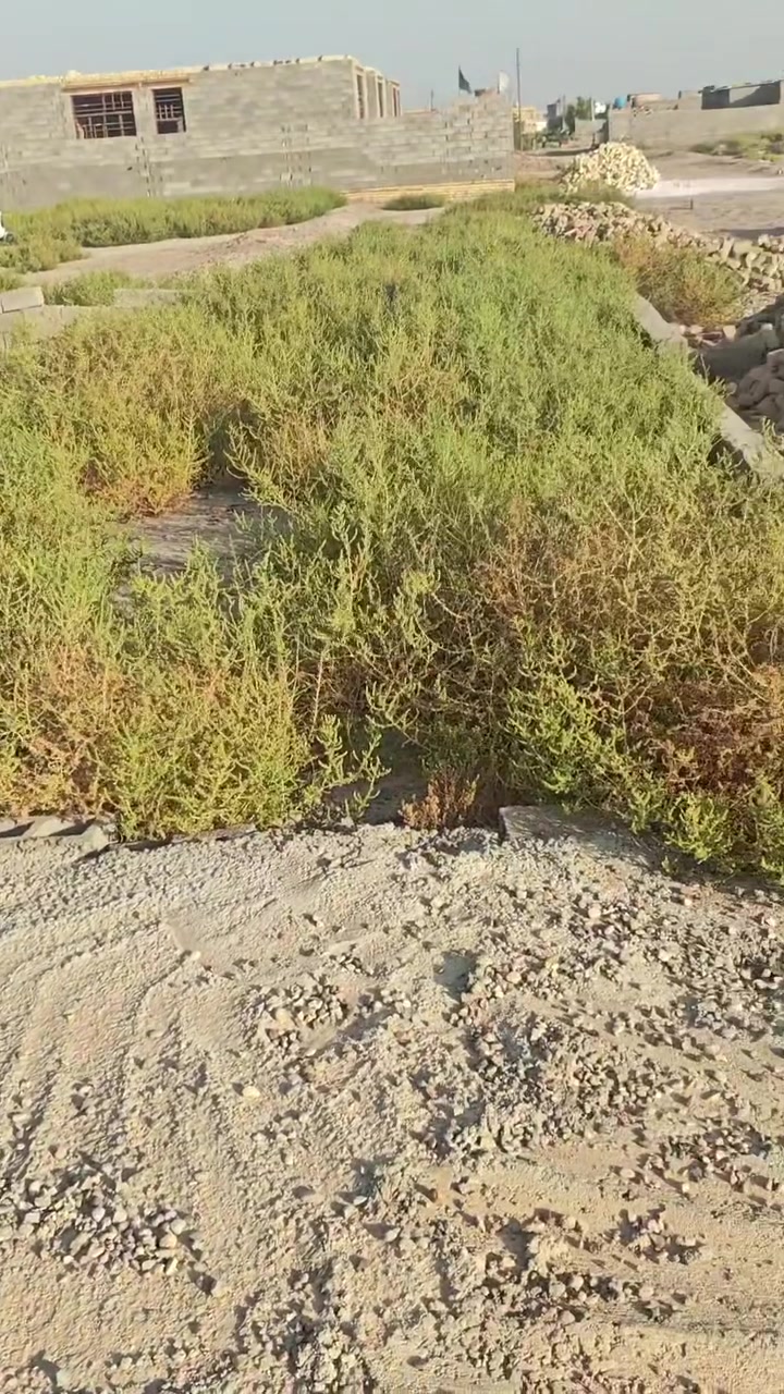 عندي قطعه زراعي البيع مسحته 320متر ابو غنم يبعد عنه طابو 500متر ***********

