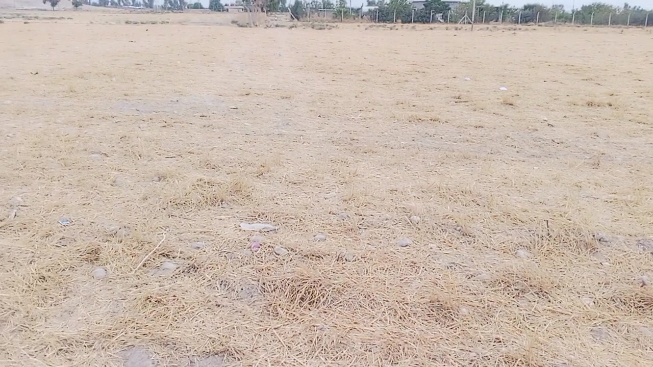 طابو اسود • ١٠٧٥٠م • كهرباء واصل