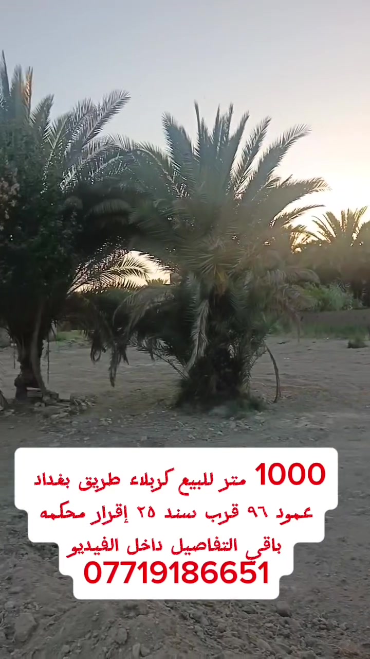 1000 كربلاء طريق بغداد عمود ٩٦ سند ٢٥ إقرار محكمه باقي التفاصيل داخل الفيديو كلش قريب عن الشارع الرئيسي ***********    ***********
