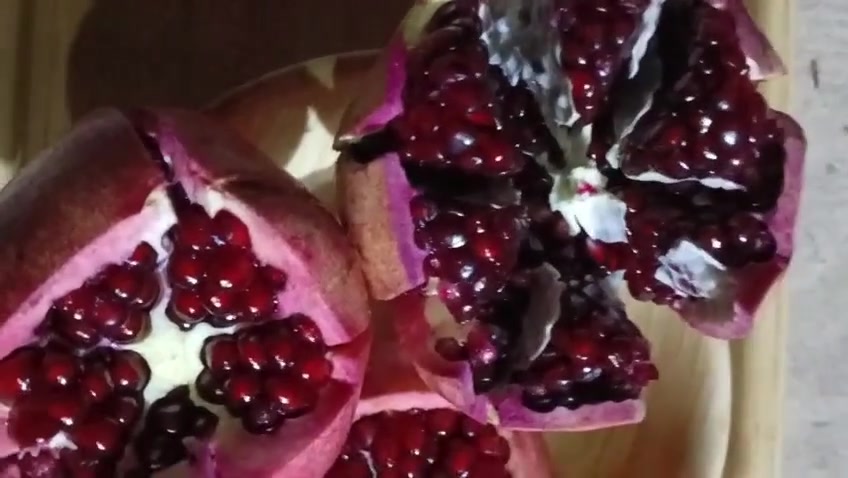 شتلات • هنار أمريكي • مشتل ميران