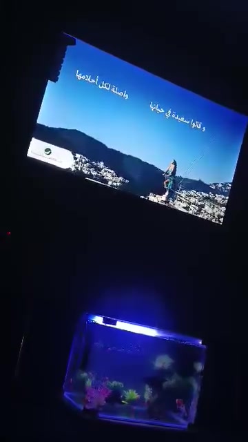شاشة ٥٥بوصة • ٤K • ستيريو