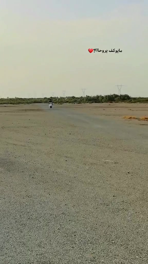 طير أليف • يجري وراك • خان بني