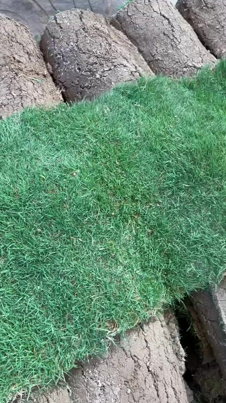 قطعه بالف فقط كميه محدوده 

***********
