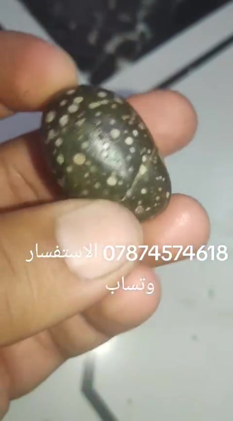 لا تفاصيل • متفرقات