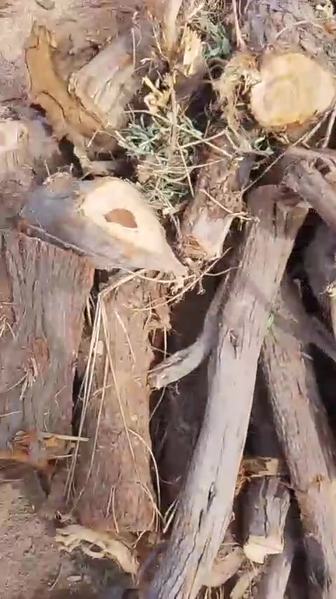 ميسان • ديكور