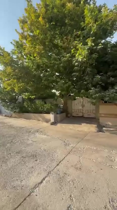 شقلاوه • طابو داخل • ٢٠٠م
