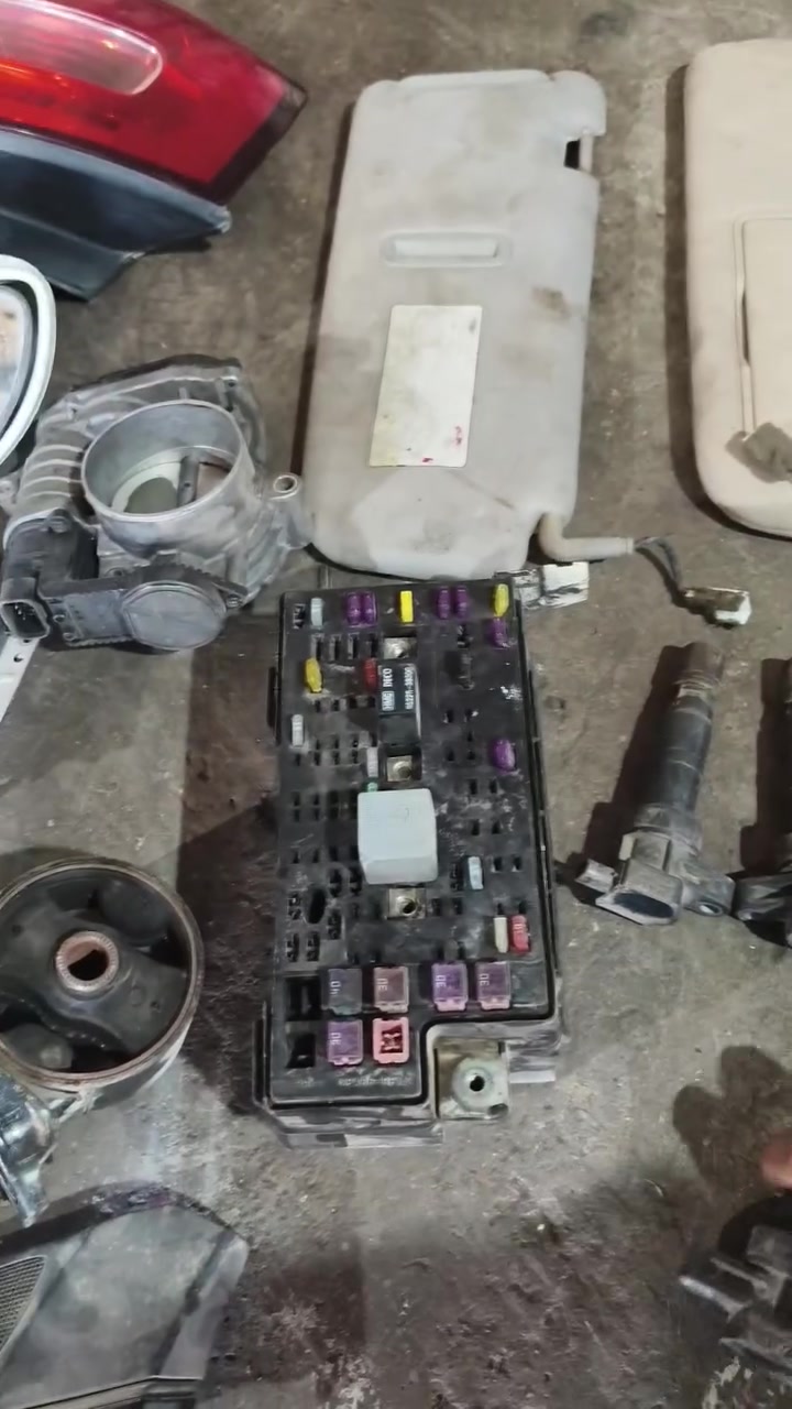 شباب غراض اوبرص لل بيع شلع إذا يفدنكم***********
***********
