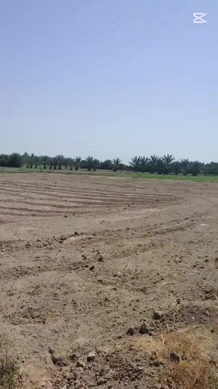 بابل المسيب • ٩ دونم • طابو صرف زراعي
