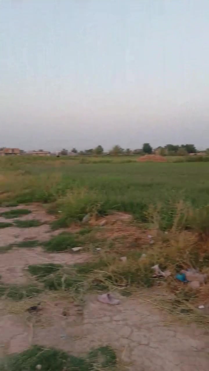 بيت + ثلاث مشتملات كلهن سيراميك كهرباء مي تبليط جاهزات للسكن في منطقة اليوسفيه قرب مركز تدرب مرقمات كلهن من البلديه سعر مناسب ‏‪***********‬‏

