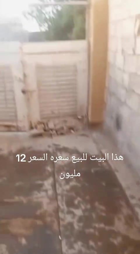 السعر 12 مليون بالشعر ‏‪***********‬‏
