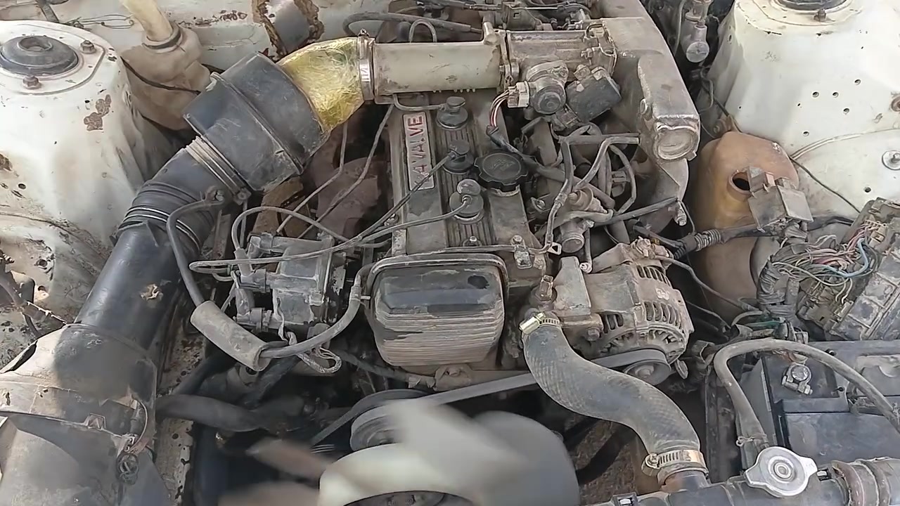 شغاله • ما بيه شي • كربلاء