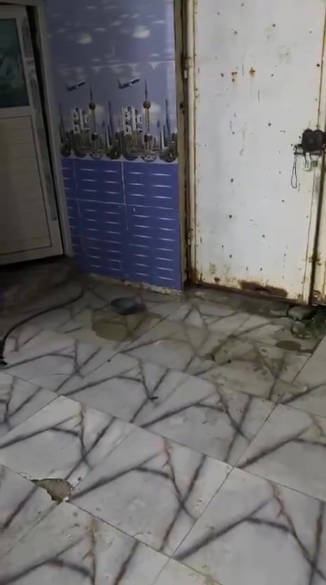 بيت • للإيجار • واتساب